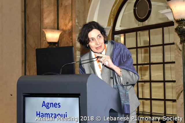 Agnès HAMZAOUI